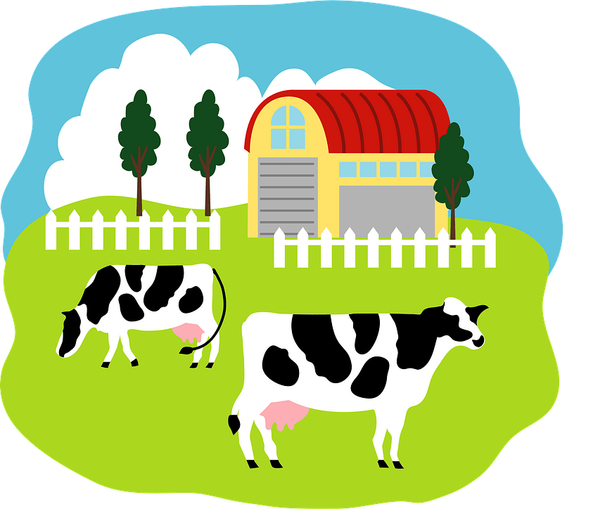 Dairy and Cattle Management
