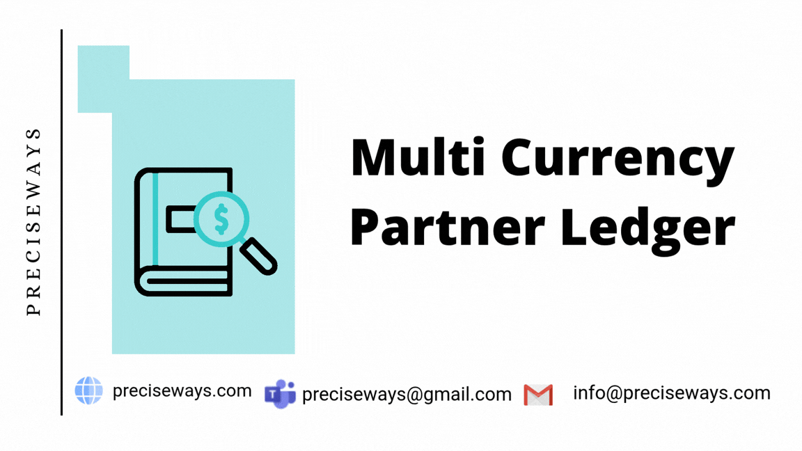 Multi Currency Partner Ledger
