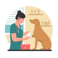 Pet Animal Care or Veterinary Management